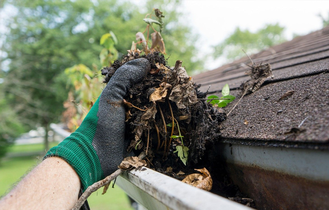 gutter cleaning services near me 12